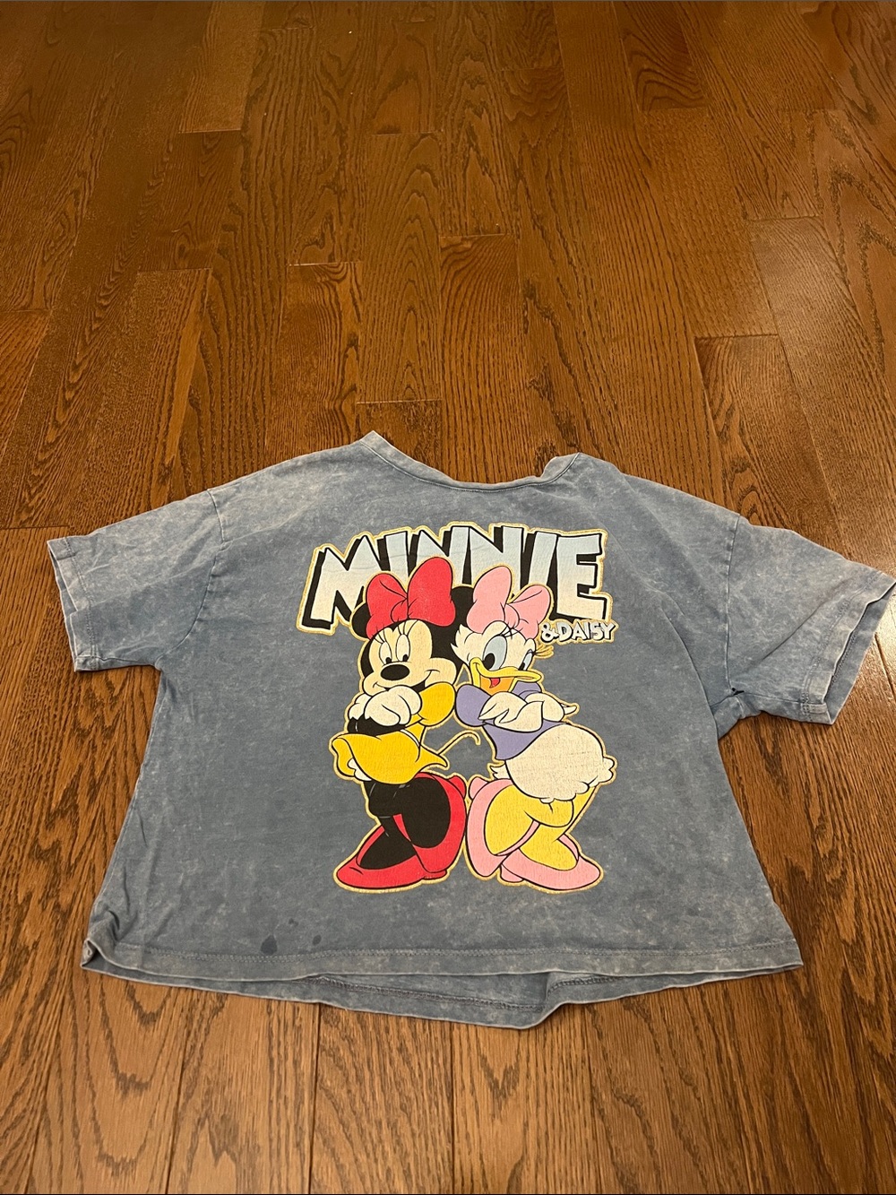 Zara Blue Graphic Tee with Minnie & Daisy Artwork